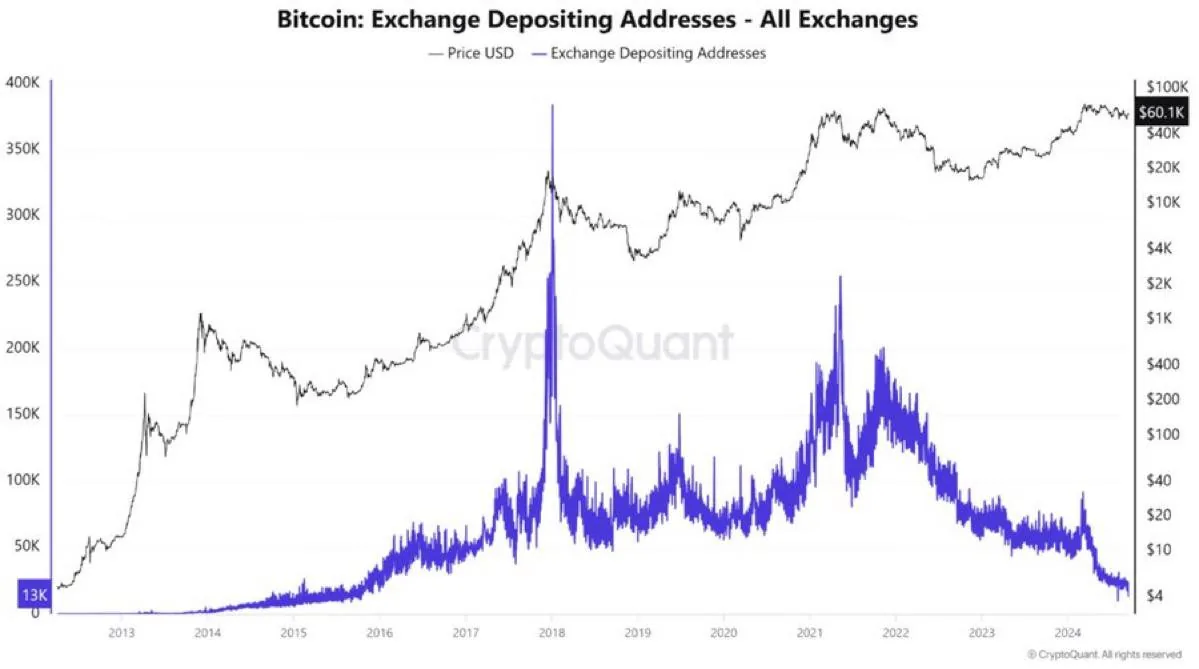 График Bitcoin с метрикой Exchange Depositing Addresses как пример аналитики для обучения трейдингу после 40–50 лет