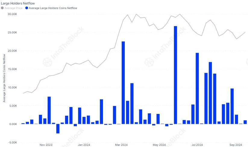 График Large Holders Netflow и Average Large Holders Coins Netflow по месяцам 2023–2024 годов